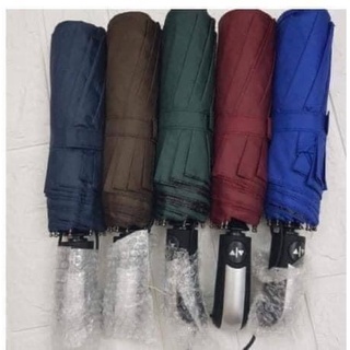 Dù gấp gọn Tự Động