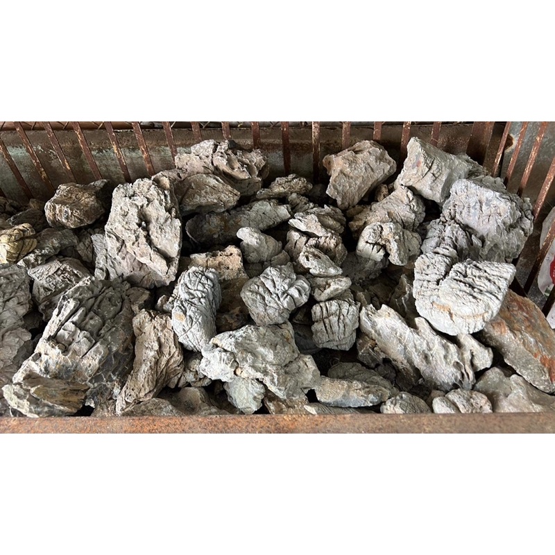 Đá Da Voi Hồ Thuỷ Sinh