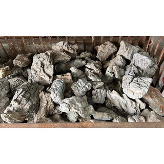 Đá Da Voi Hồ Thuỷ Sinh