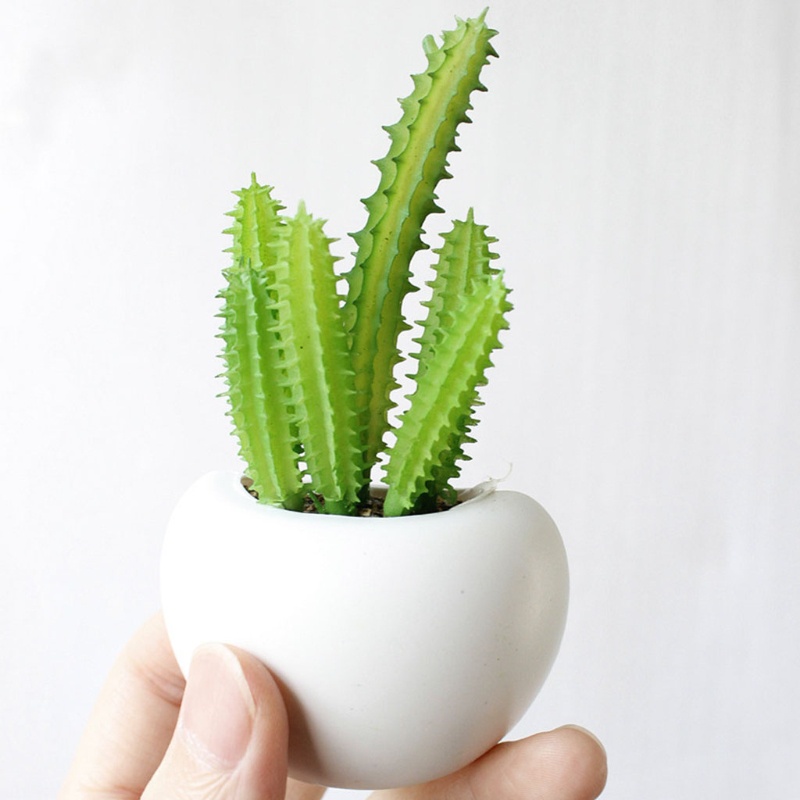 Nam châm dán tủ lạnh hình cây xương rồng