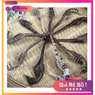 Cá ngựa khô 10 con