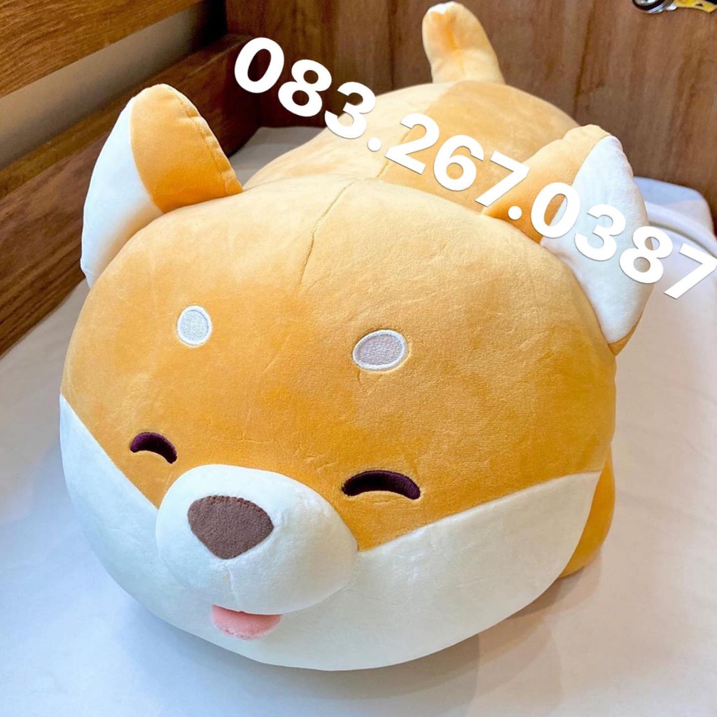 Chó bông shiba nằm (70cm, 1m)