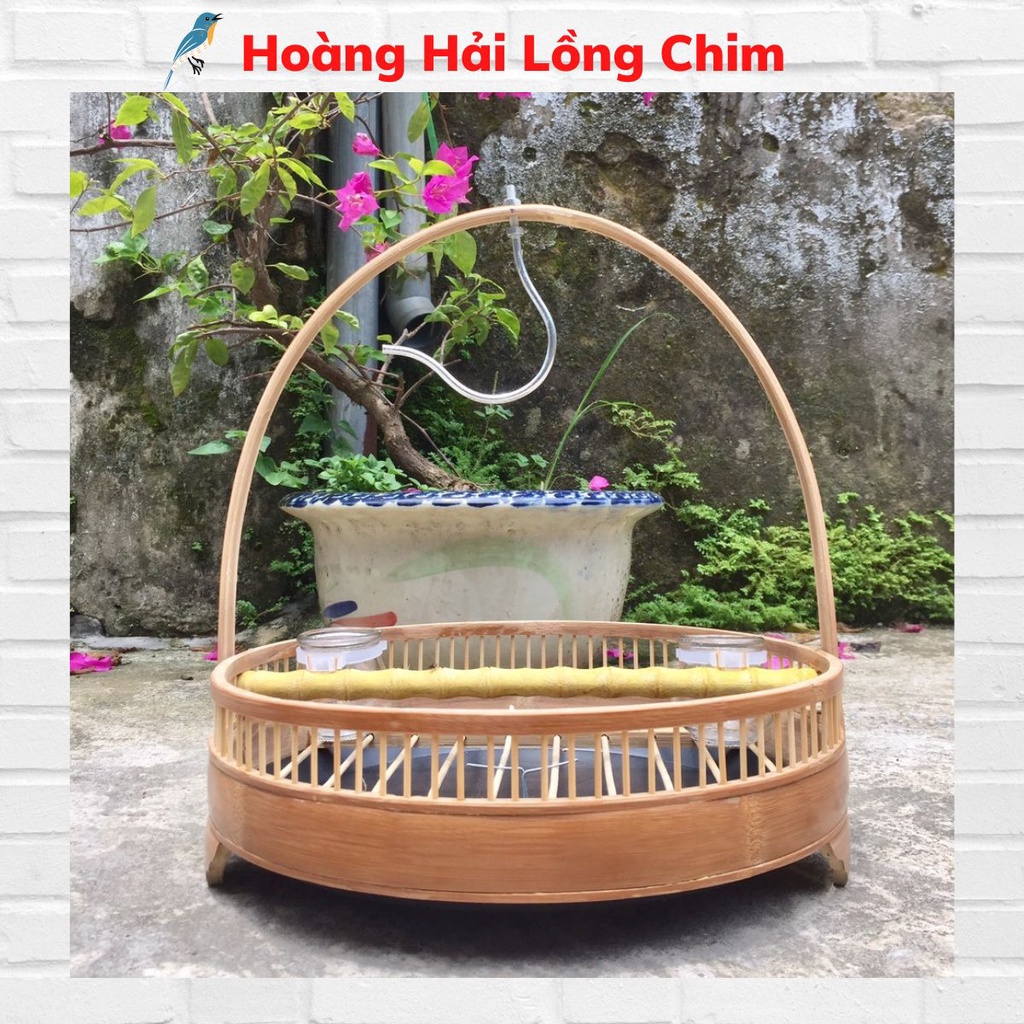 Lồng chim Cu trần kèm xích chân siêu bền giá rẻ Hoàng_Hải_Lồng Chim