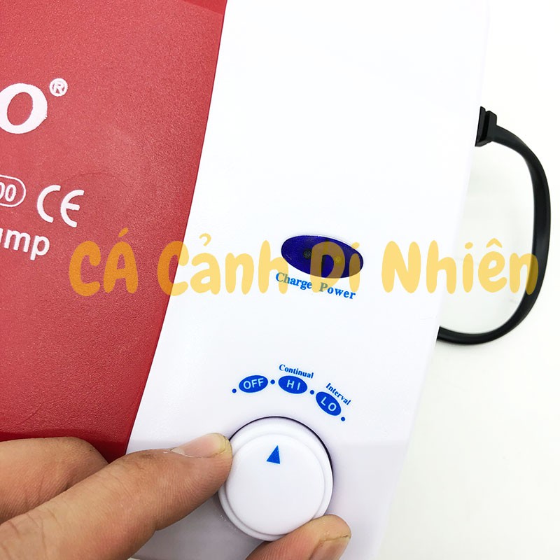 Máy sủi khí oxy TÍCH ĐIỆN 2 vòi SOBO SB-10000 cho hồ cá