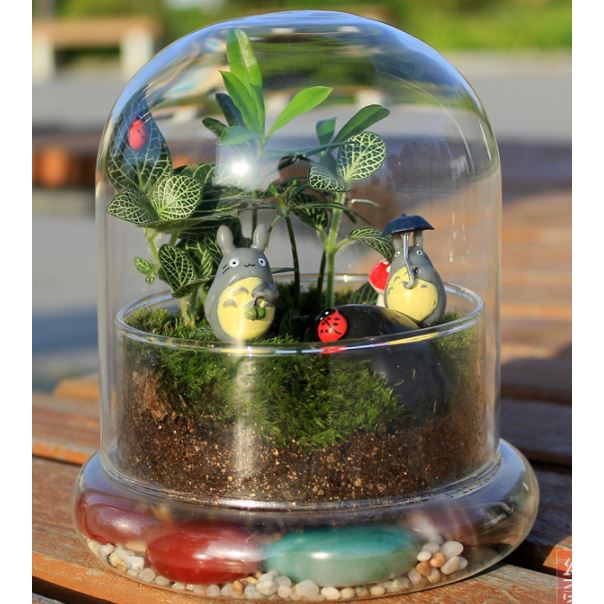 {Hàng siêu đẹp} Bình terrarium thủy tinh trong suốt có nắp chụp để làm bể tiểu cảnh terrarium