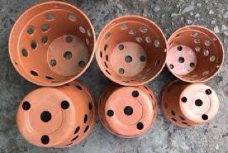 Combo 2 chậu nhựa giả đất nung phi 23