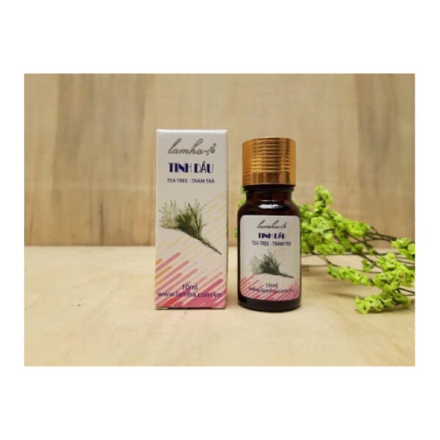 Tinh dầu Tràm Trà ( Tràm Úc ) nguyên chất 10ml