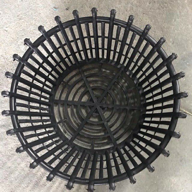 Chậu trồng lan thế hệ mới đường kính 20cm x10cm