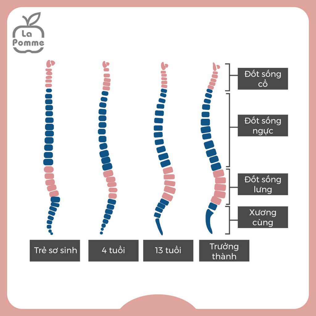 La pomme P001 Gối đỡ đầu sơ sinh bo viền La Pomme SS