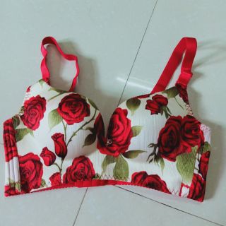 Áo ngực cua thiên thuận lê