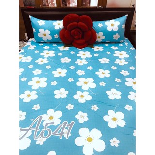 Trọn bộ drap cotton 100%