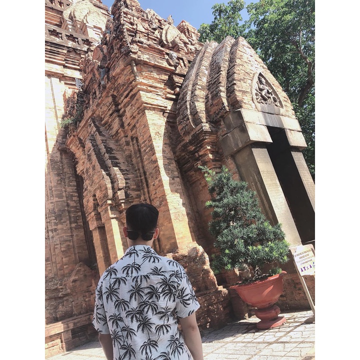 Áo sơ mi Hawaii Nam Nữ đi biển Cây Dừa fullsize 45-85kg