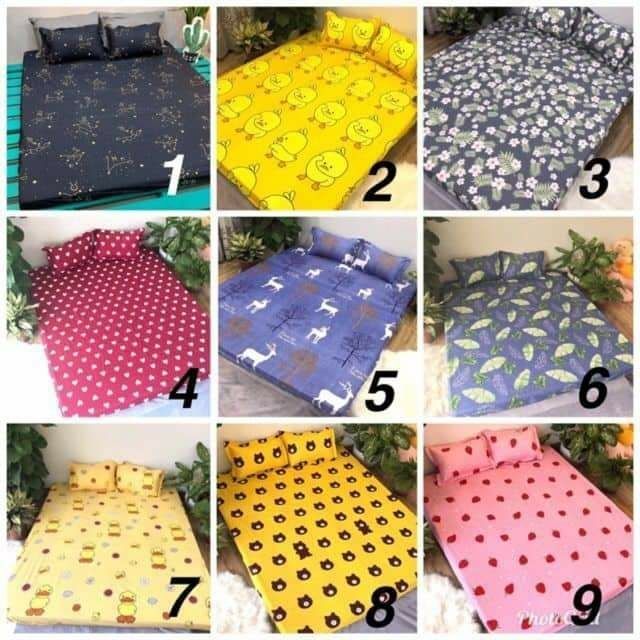 Ga Gối poly sét 3 món poly cotton ngẫu nhiên màu