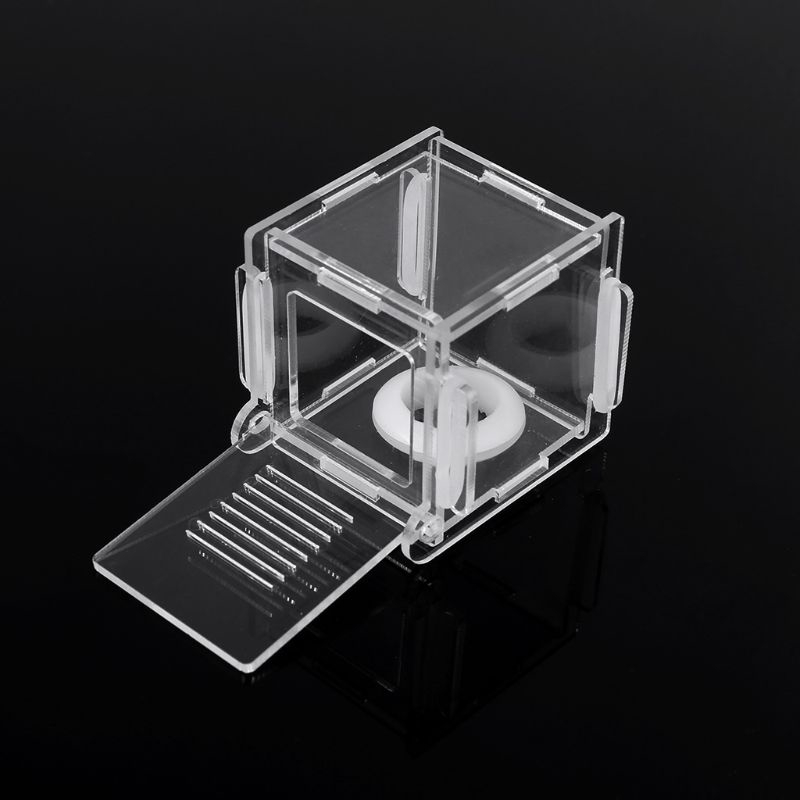 Dụng cụ cho kiến ăn mini bằng acrylic và thủy tinh chuyên dùng cho trang trại