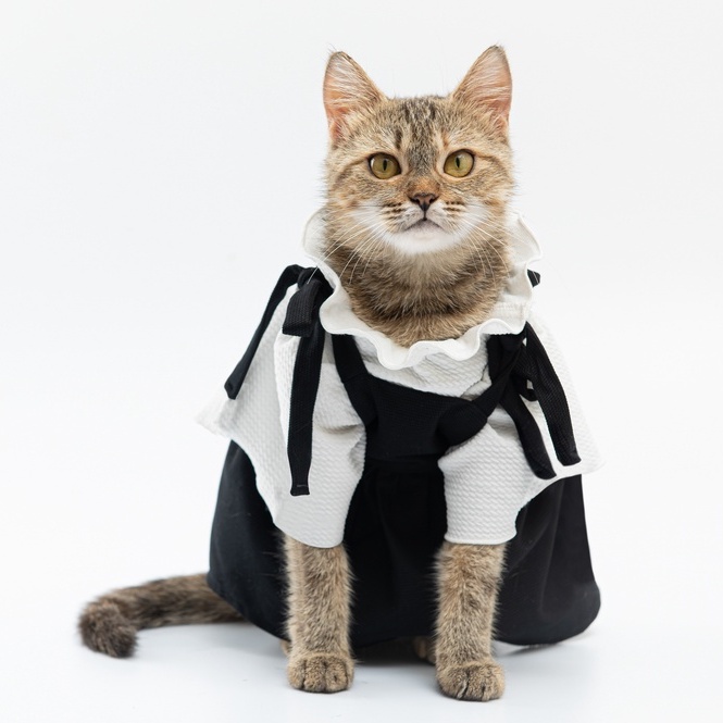 Váy yếm hàng hiệu bánh bèo cho thú cưng - SaboCoco - Momo dress