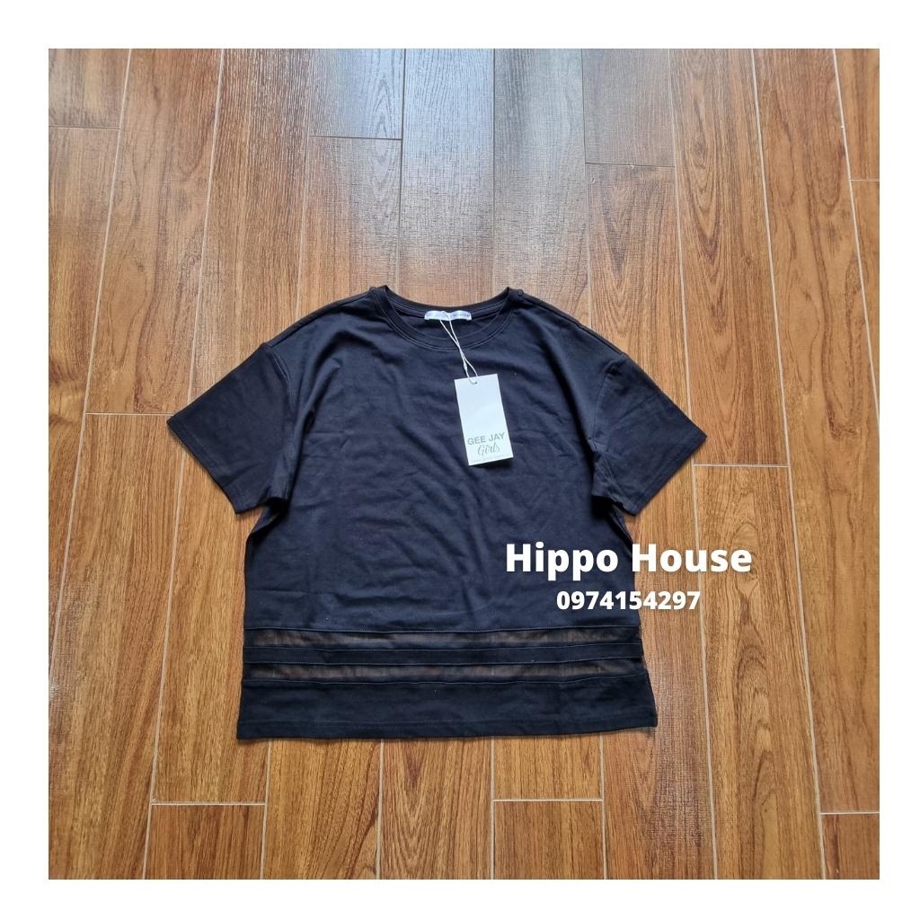 Áo phông Trơn Màu Cộc Tay Áo Thun cho Bé Gái Hippo House Size Đại 25 – 60kg Dáng Croptop Chất Cotton Mềm Mịn