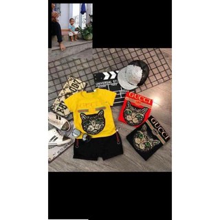 combo  Bộ guci mèo huy89