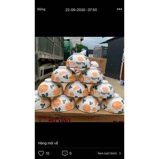 chén sứ 4d 10 cái giao màu ngẫu nhiên