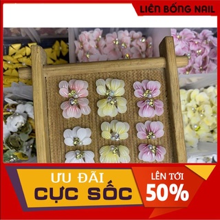 Hoa bột nail - Hoa cúc ruby