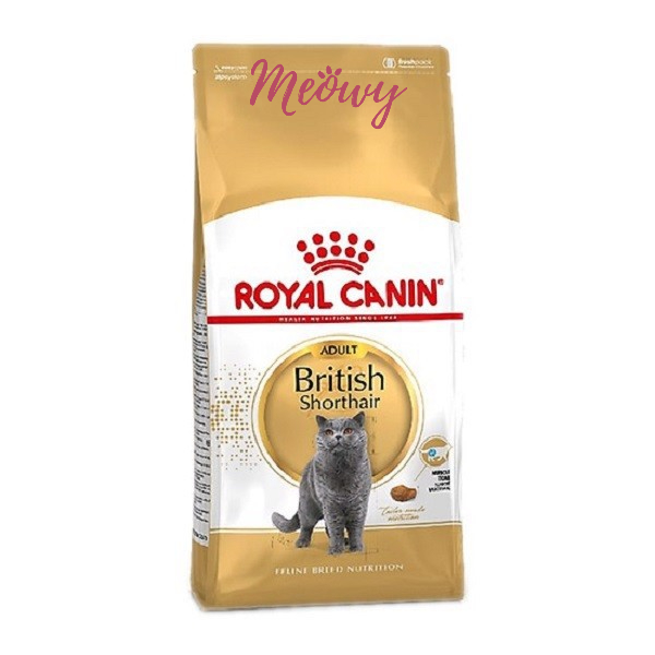 Hạt Royal Canin British Shorthair cho mèo Anh lông ngắn