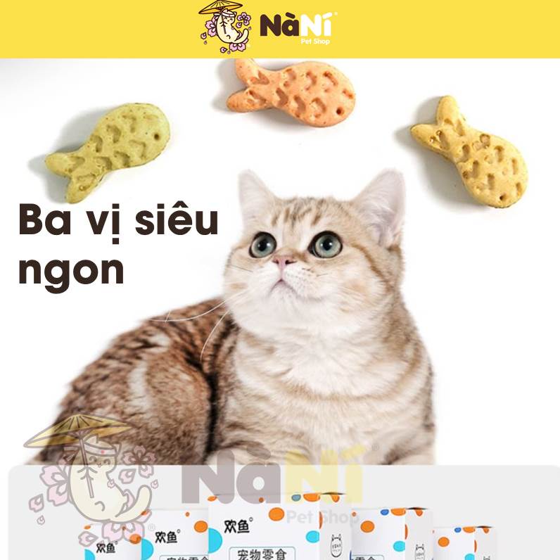 Bánh thưởng Catnip siêu ngon hộp lớn cho mèo, Snack cho mèo 3 vị - Hộp bự siêu tiết kiệm Nà Ní Pet Shop