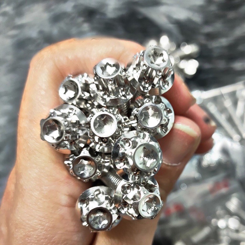 Ốc Salaya Inox 304 6ly, 8ly, 10ly Chiều Dài Đầy Đủ Các Size