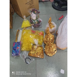 Combo nguyên liệu cây Kim tiền cành vàng lá ngọc phk shop
