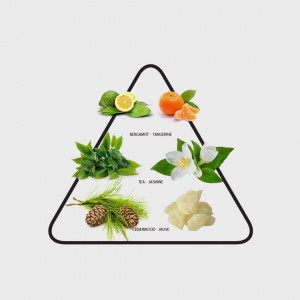 Nước Hoa Nam MdoC Second Life 50ml EDP - Dầu Thơm Nam