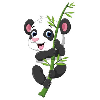 Tem dán Gấu trúc phản quang đẹp