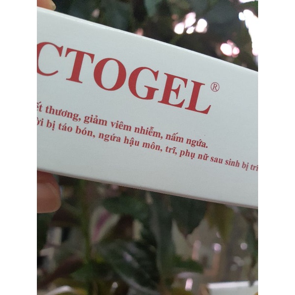 Gel bôi nấm, trĩ, ngứa Proctogel (20g) - Đông Anh Pharmart