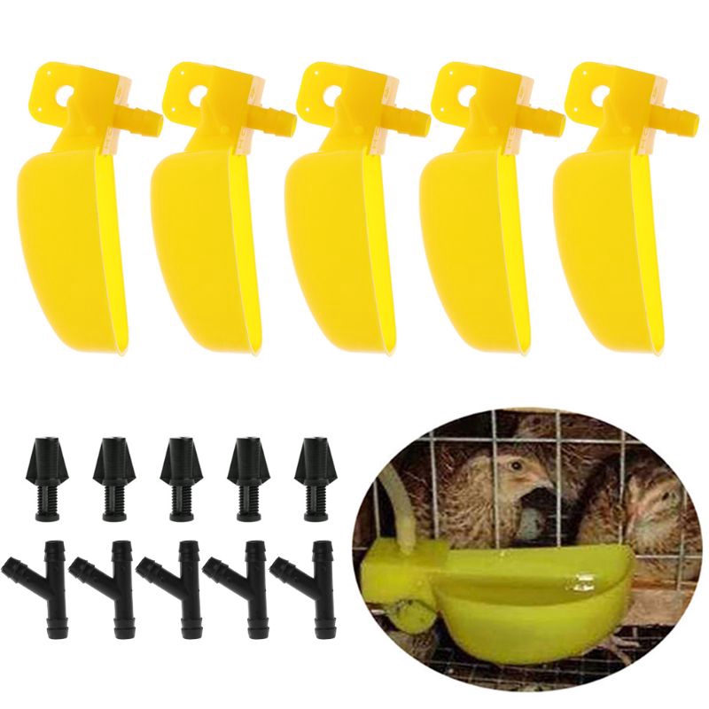 Máng Uống Nước Tự Động Cho Chim Bồ Câu