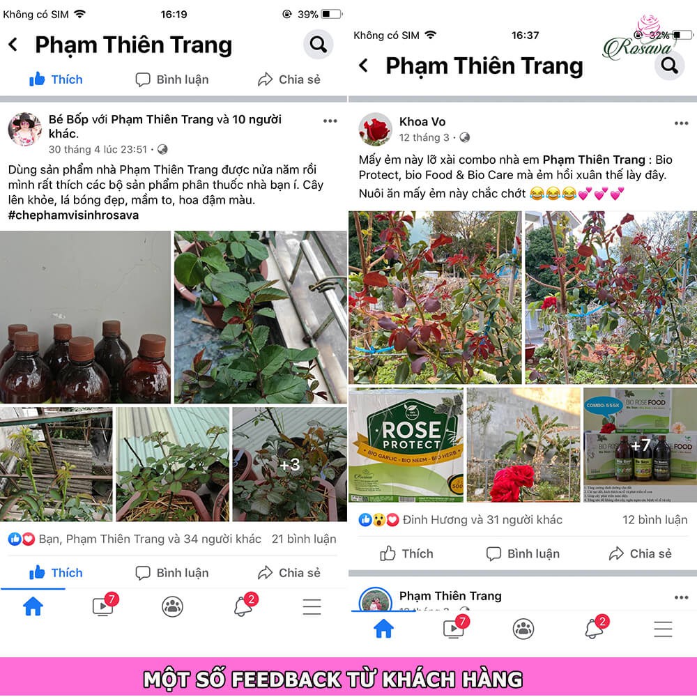 Bộ chế phẩm sinh học Protect phòng nhện, bọ trĩ, rệp, sâu ROSAVA cho cây cảnh gồm dầu neem oil, thảo mộc &amp; tỏi đậm đặc