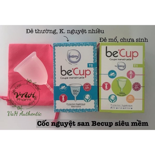 CỐC NGUYỆT SAN BECUP