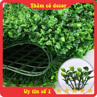 Cỏ Cải Xoong, Thảm cỏ nhân tạo, nhựa giả size 60*40cm, trang trí trường nhà, văn phòng, nhà hàng, decor sự kiện