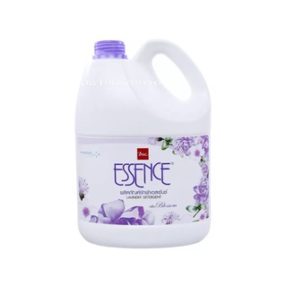 🌸🌱☘️ NƯỚC GIẶT ESSENCE 3500ML THÁI LAN 🌸🌱☘️