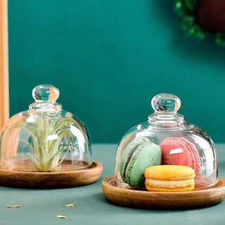 Đĩa Đựng Bánh Tráng Miệng / Mousse / Món Tráng Miệng Mini Bằng Gỗ Kèm Nắp Kính