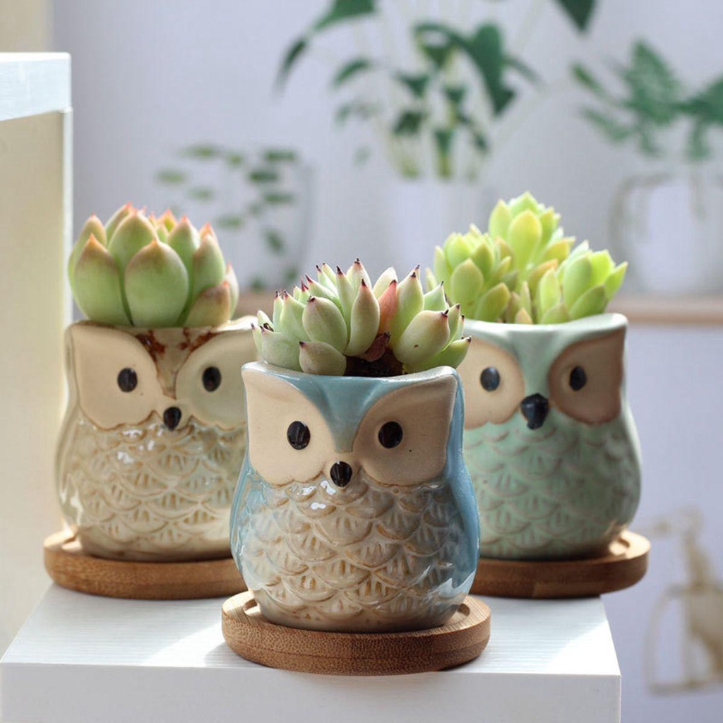 Chậu Hoa Bằng Gốm Kèm Khay Tre Dễ Thương