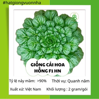 Hạt giống cải hoa hồng lai f1 hn - gói 2 gram