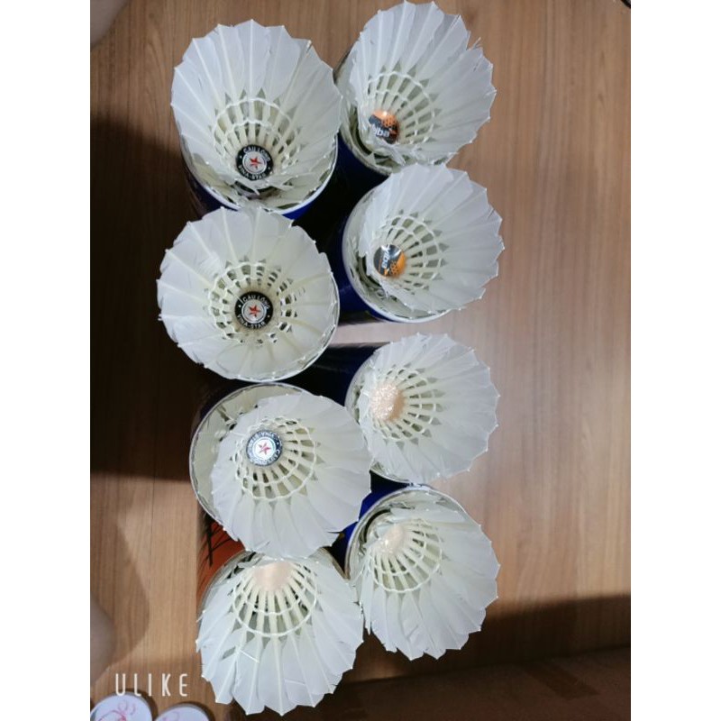 Trái Cầu tập đã qua sử dụng mới 70%