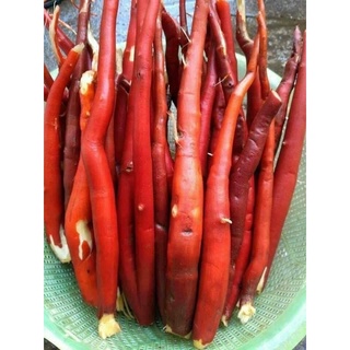 1kg sâm cau đỏ khô