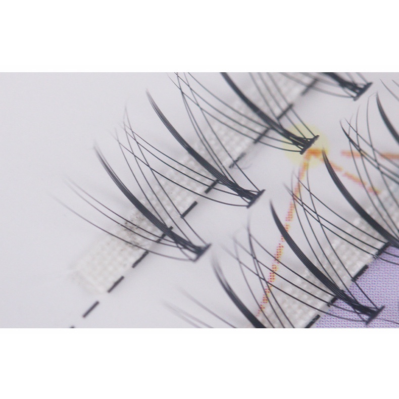 [JUNG] Hộp lông mi giả tự nhiên dạng cụm hộp trắng