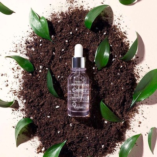 Tinh Chất 9Wishes Ampule Serum 25ml