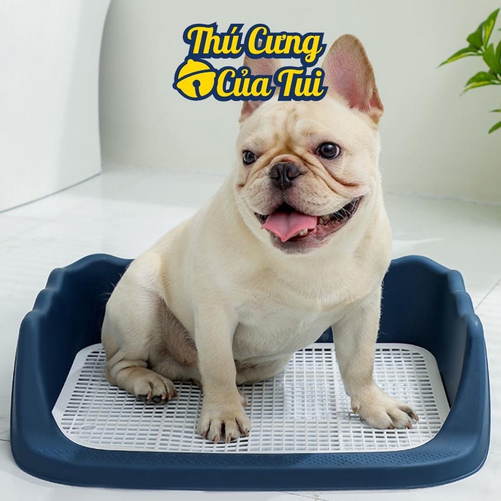 Khay vệ sinh cho chó thành cao lượn sóng - Thú cưng của tui