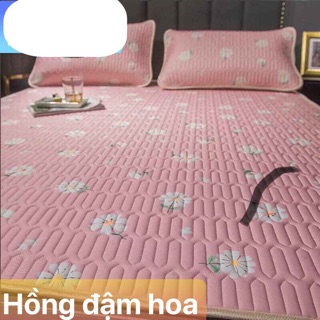 [ SALE SỐC RẺ VÔ ĐỊCH] CHIẾU ĐIỀU HOÀ TENCEL MỦ CAO SU NON