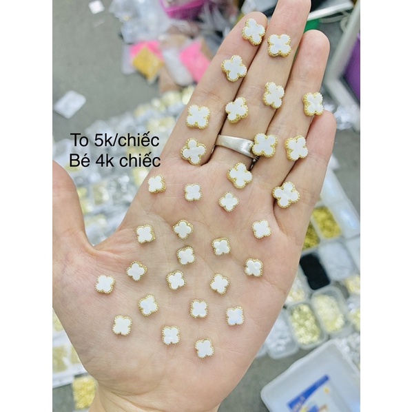 Cham hình đính móng