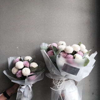 Hoa cúc giả bingbong