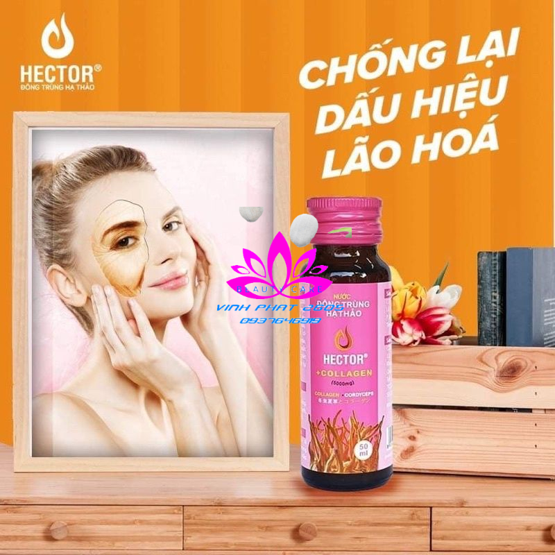0✅Nước Đông Trùng Hạ Thảo Hector Collagen Hộp 10 Chai [Freeship] ❤️ Hector