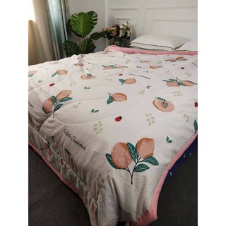 2 chăn zara dương xỉ
