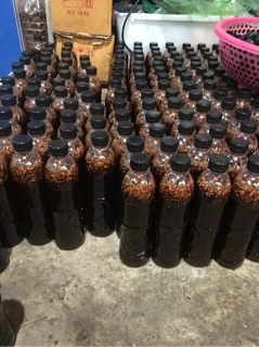 Sỉ nước châm xoài bao tử