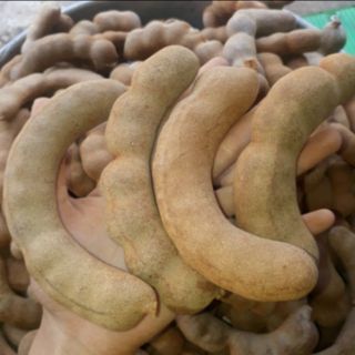 ME THÁI LOẠI 1